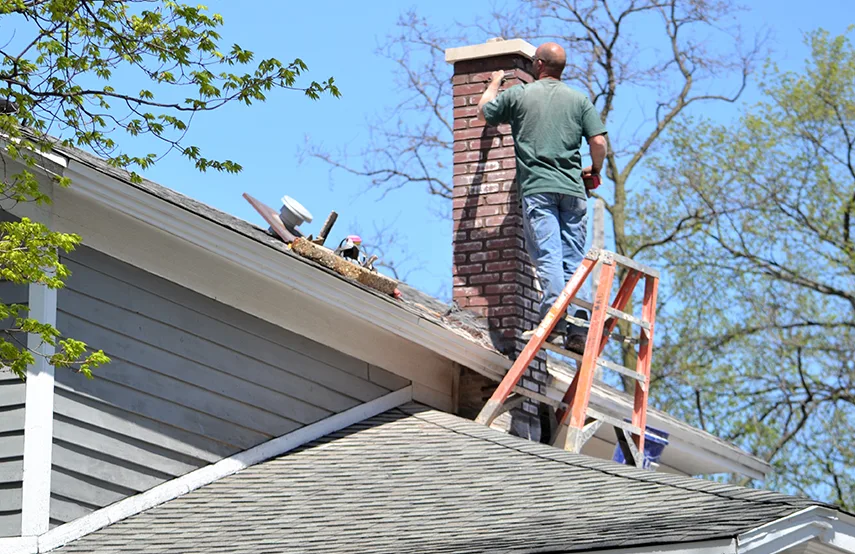 Chimney & Fireplace Inspections Services in Lewiston, ID